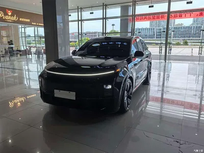 2023 Li Auto Li L8 Max, фото 4, лот 10826044