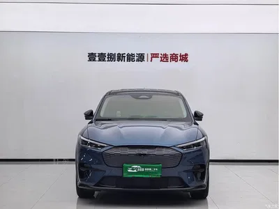2021 Ford Mustang Mach-E Boundless RWD Luxury (Long Range), фото 2, лот 10281162