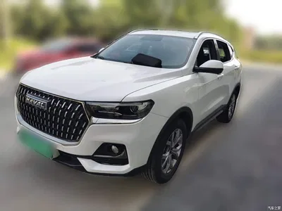 2021 Haval H6 National Trend Edition 1.5GDIT Automatic Champion Edition, фото 1, лот 10300805