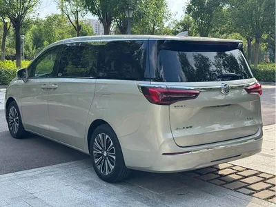 2020 Buick GL8 Model ES Landglory 653T Luxury, фото 4, лот 10252272