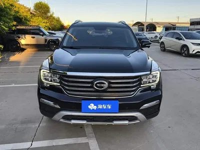 2017 GAC Trumpchi Trumpchi GS8 320T 2WD Luxury Smart Connect (7-seater), фото 2, лот 10416765