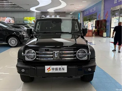 2024 Tank 300 New Energy Hi4-T, фото 2, лот 10344084