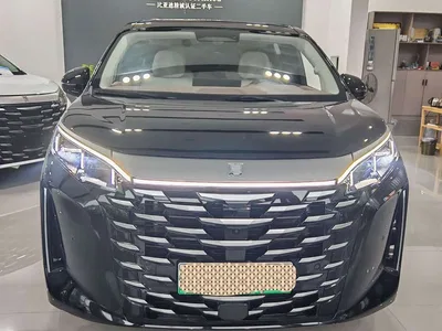 2025 BYD Xia DM-i 1.5T 180km Excellence, фото 2, лот 10248570