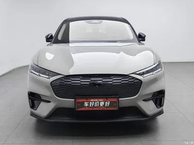 2021 Ford Mustang Mach-E Leap World RWD (Standard Range), фото 3, лот 11023356