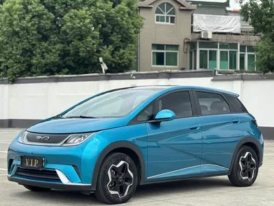 2021 BYD Dolphin 405km Freedom Edition, фото 1, лот 11242354