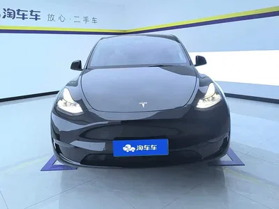 2021 Tesla Model Y Standard Range Rear-Wheel Drive, фото 2, лот 11549351