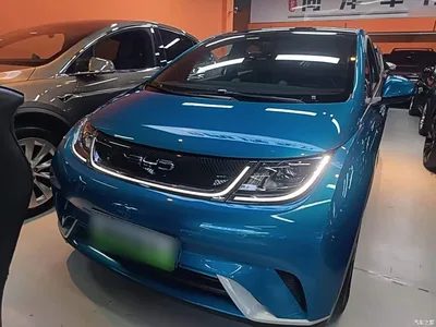 2021 BYD Dolphin Model 405km Fashion Edition, фото 3, лот 10259774