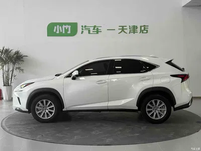 2020 Lexus NX 200 AWD F Sport China VI, фото 2, лот 10440121