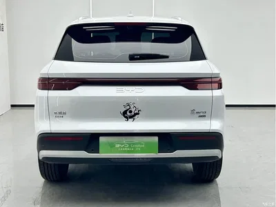 2025 BYD Song Pro New Energy 2nd Generation Smart Drive Edition DM-i 75KM Leading Type, фото 4, лот 10274716