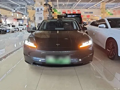 2025 Tesla Model 3 Model Rear-Wheel Drive Edition, фото 3, лот 10369448
