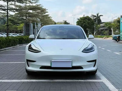 2019 Tesla Model 3 Standard Range Rear-Wheel Drive Upgrade, фото 2, лот 10351767