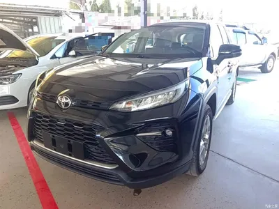 2022 Toyota Wildlander 2.0L CVT FWD Luxury Edition, фото 1, лот 10384627