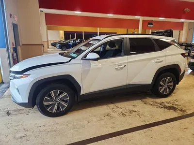 2024 HYUNDAI TUCSON BLUE, фото 1, лот 10741674