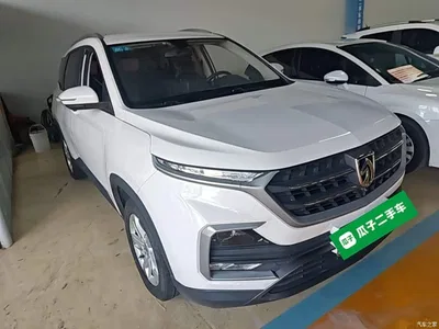 2019 Baojun 530 1.5T Manual Comfort 7-Seater China VI, фото 4, лот 10408504