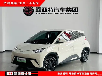 2024 BYD Seagull Glory Edition 305km Freedom Edition, фото 1, лот 10249897