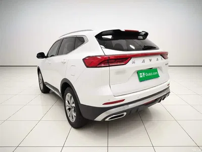 2021 Haval H6 National Trend Edition 1.5GDIT Automatic Champion Edition, фото 4, лот 11140437