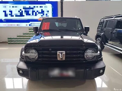 2021 Tank 300 Off-road Version 2.0T Conqueror, фото 3, лот 10345361