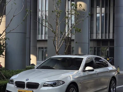 2014 BMW 5 Series 520Li Elegance, фото 2, лот 10444321