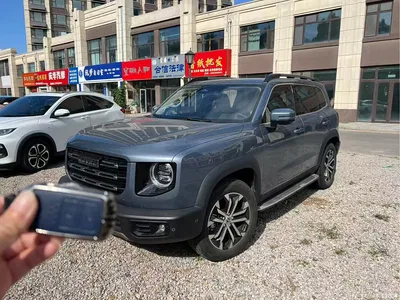 2021 Haval Big Dog 1.5T DCT 2WD Border Collie Edition, фото 1, лот 11537721