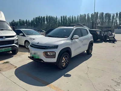 2022 Dongfeng Yipai Nano BOX Wind Chaser Edition 351KM Advanced, фото 1, лот 11533966