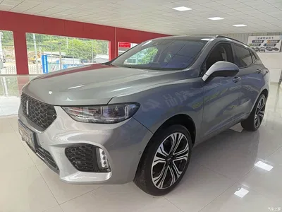 2019 WEY VV5 Upgrade 2.0T 2WD Flagship China V, фото 1, лот 10954761