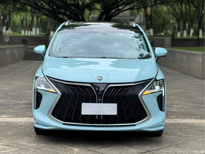 2022 Dongfeng Fengxing Yacht 1.5T DCT Wave Chaser Edition, фото 2, лот 11159340