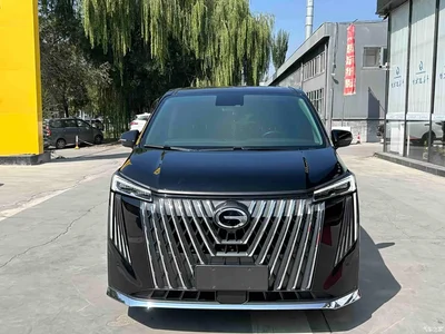 2024 GAC Trumpchi Trumpchi M8 Master Series 400T Premium Edition, фото 2, лот 11188483