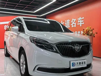 2017 Buick GL8 ES 28T Premium China V, фото 3, лот 10250801