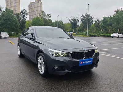2019 BMW 3 Series GT 320i M Sport Model, фото 3, лот 11550923