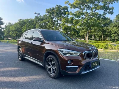 2016 BMW X1 sDrive20Li Luxury Model, фото 3, лот 10679722