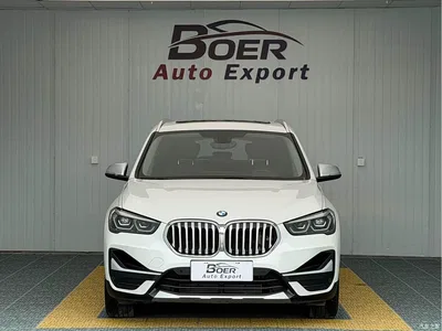 2020 BMW X1 sDrive20Li Premium Edition, фото 2, лот 10466868