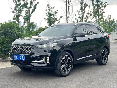2021 WEY VV6 2.0T FWD Smart Drive+, фото 1, лот 10451943