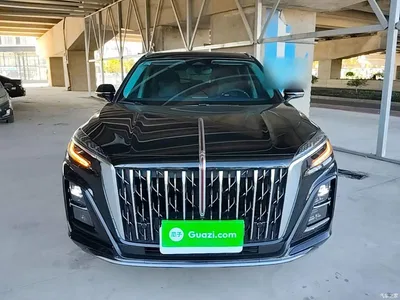 2023 Hongqi HS3 1.5T 2WD Virtue Edition, фото 3, лот 11502177
