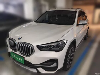 2022 BMW X1 xDrive25Li Premium, фото 1, лот 11190934