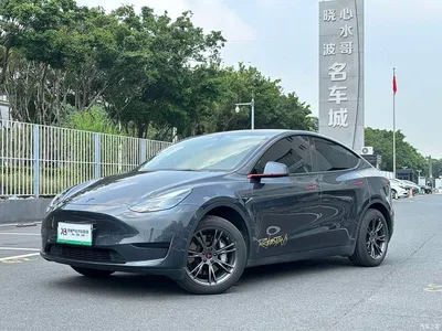 2024 Tesla Model Y Rear-Wheel Drive Version, фото 1, лот 10768057