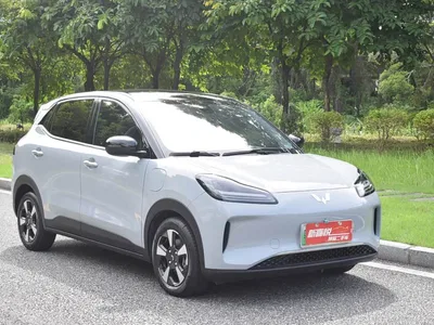 2024 Wuling Motors Wuling Binguo PLUS Model 330km 5-Seater, фото 3, лот 10836403