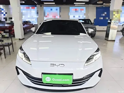 2025 BYD Seal 06 New Energy DM-i Smart Drive 80KM Luxury, фото 3, лот 10271955