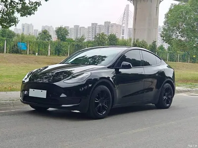 2022 Tesla Model Y Facelift Rear-Wheel Drive Version, фото 2, лот 11017627