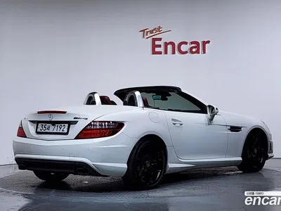 2013 Mercedes-Benz SLK-Class 200 Blue Efficiency, фото 1, лот 10072095