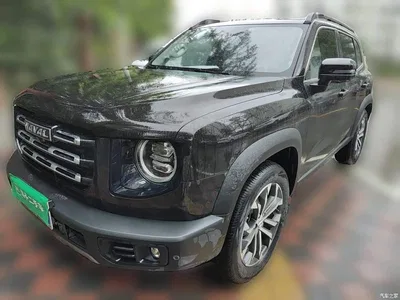 2021 Haval Big Dog 1.5T DCT 2WD Border Collie - Wangcai Edition, фото 1, лот 10361694
