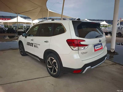 2024 Subaru Forester 2.5i AWD Flagship EyeSight, фото 4, лот 10342240