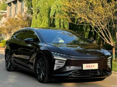 2021 HiPhi X Founder Edition 6-Seater, фото 3, лот 10414233