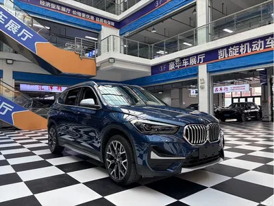2021 BMW X1 xDrive25Li Exclusive, фото 3, лот 10466488