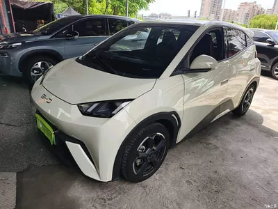 2024 BYD Seagull Glory Edition 305km Freedom Edition, фото 1, лот 10260804