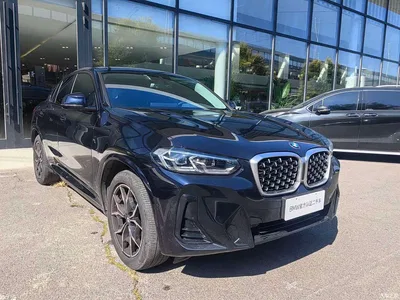 2022 BMW X4 xDrive 25i M Sport Package, фото 3, лот 10415340