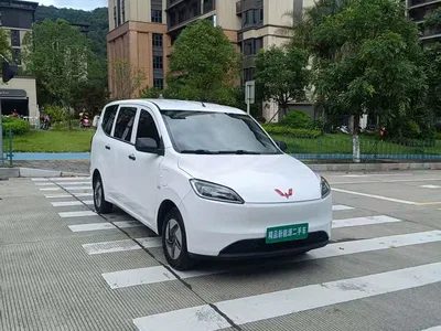 2024 Wuling Motors Wuling Hongguang New Energy Pure Electric 300KM Standard, фото 3, лот 11167370