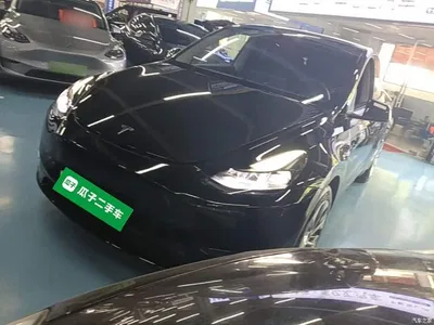 2022 Tesla Model Y Long Range AWD, фото 1, лот 10369634