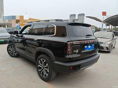 2024 Haval Big Dog 1.5T DCT Border Collie Edition, фото 4, лот 11141424