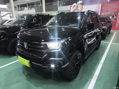 2024 Tank 400 New Energy Hi4-T Off-Road Edition, фото 1, лот 10345527