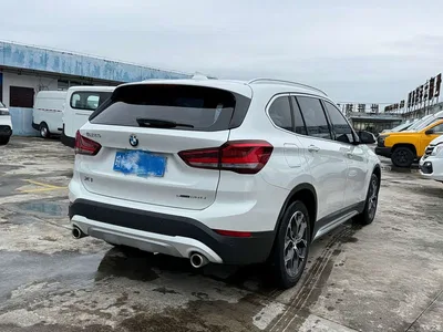 2020 BMW X1 sDrive20Li Premium Edition, фото 3, лот 11569459